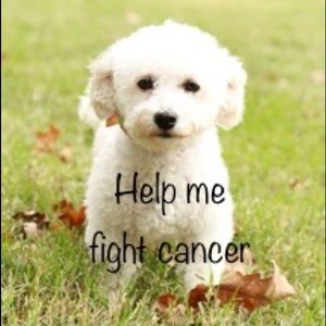 Profits go to treatment of Karli’s cancer